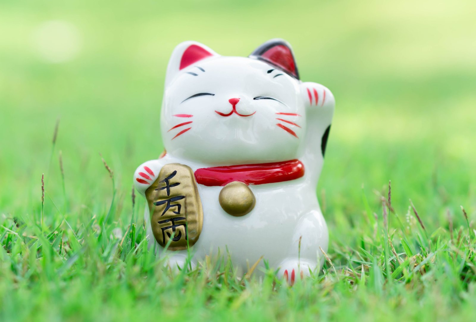 Tout savoir sur le Maneki Neko, le chat porte-bonheur japonais